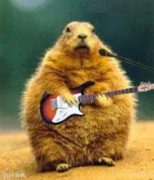 Music I - gitara bobor.jpg